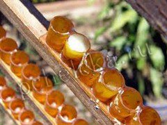 Искуственные мисочки