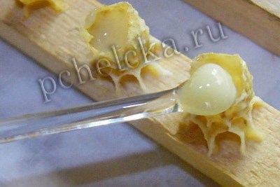 Маточное молочко