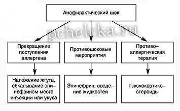 Противошоковая терапия