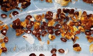 Клещи осыпались
