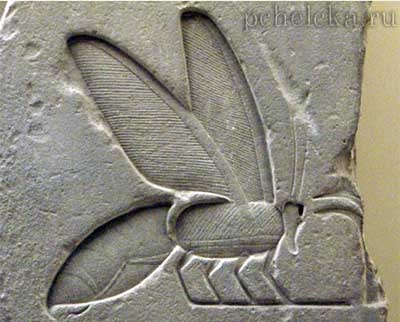 Beepedia